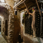 Traseul vitivinicol de drumeție și ciclism Mircești-Sculeni