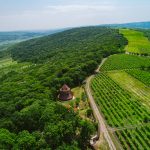 Traseul vitivinicol de drumeție și ciclism Mircești-Sculeni